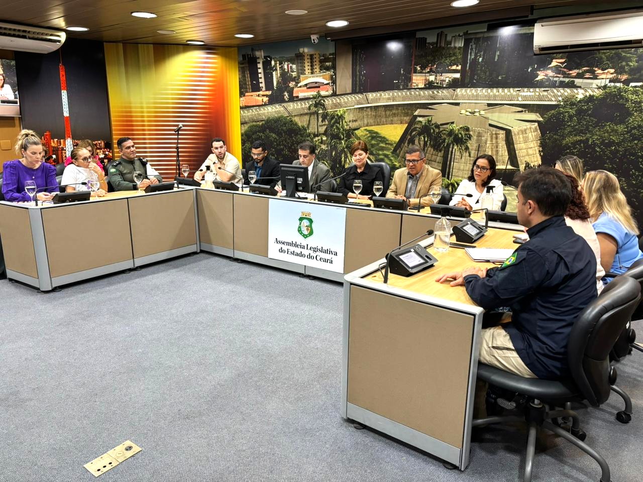 Enfrentamento ao desaparecimento de pessoas foi tema de audiência pública realizada nesta segunda-feira (17)