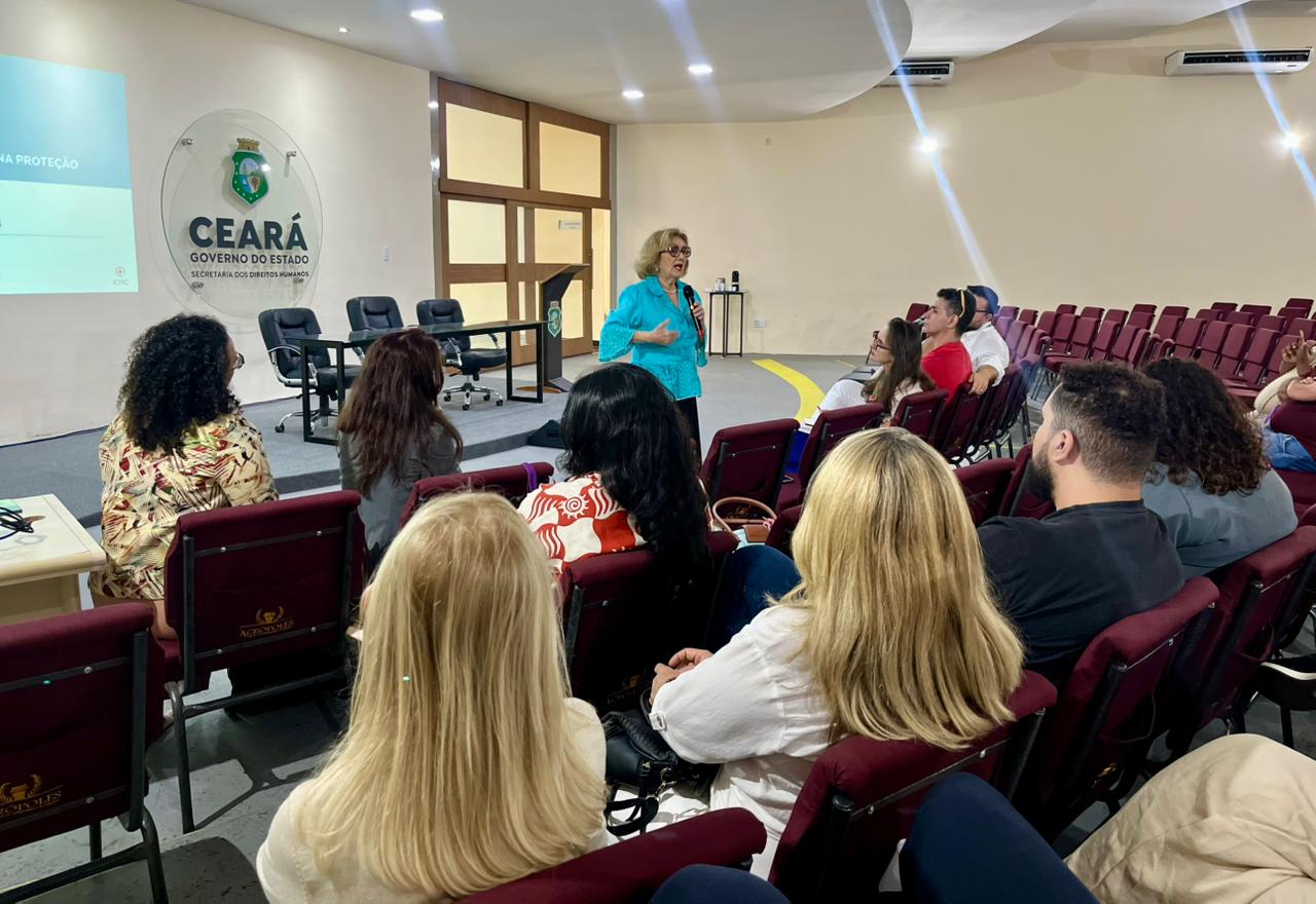Sedih realizou o II Encontro de Saúde Mental na Proteção com equipes dos programas de proteção do Ceará em parceria com o CICV